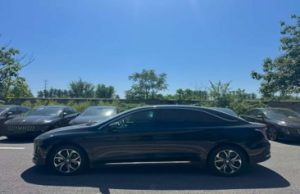 Used car Hong Qi E-QM5