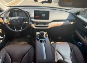 Used car Hong Qi E-QM5