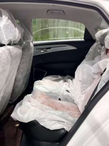 Rear passenger seats in the 2019 Geometry A, offering adequate space for city travel.